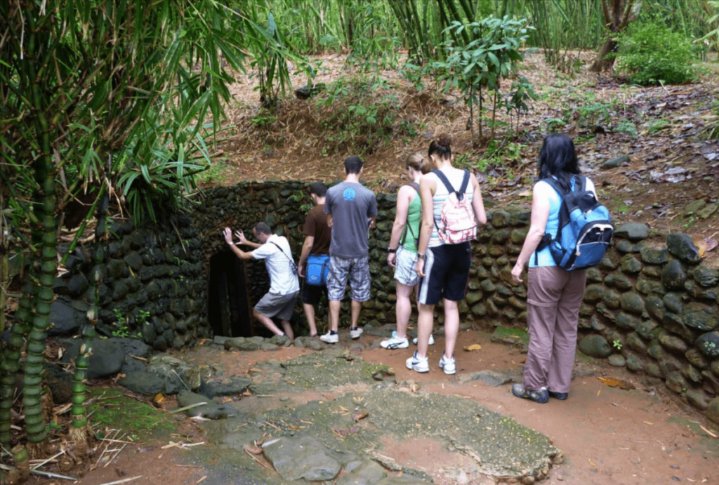 Visiting the Cu Chi Tunnels: History and Travel Tips