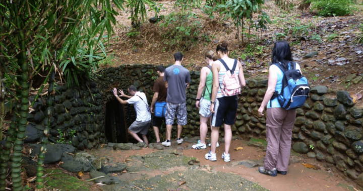 Visiting the Cu Chi Tunnels: History and Travel Tips